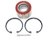 轴承修理包 Wheel bearing kit:1603 192