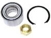 轴承修理包 Wheel bearing kit:5890987